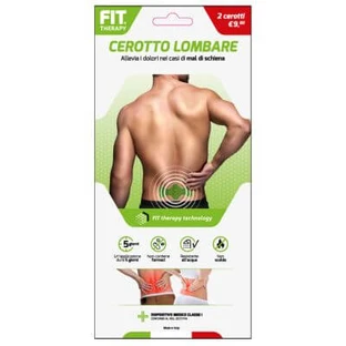 Fit Therapie Lendenwirbelpflaster 2 Stück