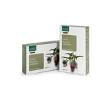 Bio Mariendistel 20 15 ml Trinkampullen