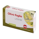 Olivenblätter Trockenextrakt 60 Tabletten