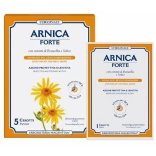 Arnica forte pleister 5 stuks