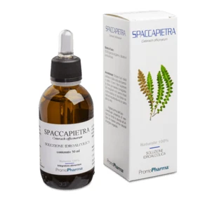 Spaccapietra hydroalcoholische oplossing 50 ml