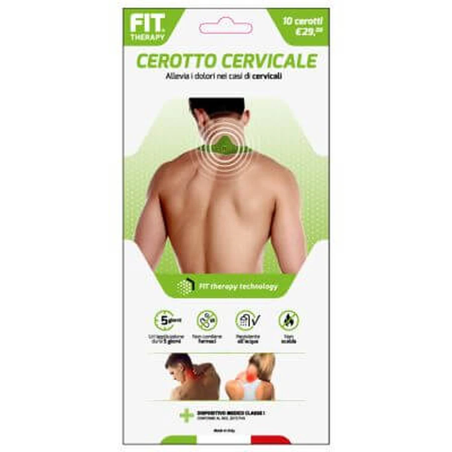 Parche cervical de terapia de ajuste 10 piezas