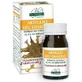 Devil's claw titrated extract 60 tablets