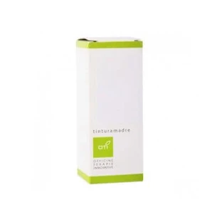 Lespedeza Urtinktur Tropfen 100 ml