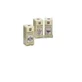 Nepeta cataria extrait non alcoolisé 50 ml