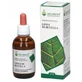 Biologisch berkensap gemmoderivatief 100 ml