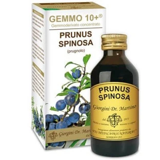 Gemmo 10+ prunellier 100 ml de liquide sans alcool