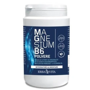 Magnesium b6 powder 200 g
