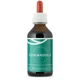 Tinctuur van koriander 100 ml