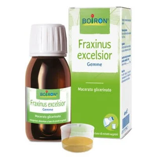 Fraxinus excelsior Glycerin-Mazerat 60 ml int
