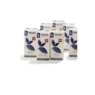 Echinacea Urtinktur 100 ml