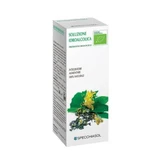 Ginseng 49 50 ml Urtinktur
