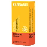 KannaBio Kannachai Immuunsysteem Biologische Hennep Thee met Groene Thee, Gember, Kurkuma & Citroen 10 sticks