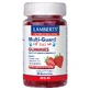Lamberts Multi-Guard für Kinder 4+ Gummis mit natürlichem Geschmack Erdbeere 60 Stück