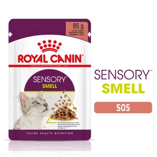 ROYAL CANIN Sensory Smell nourriture humide pour chats stimulation de l'odorat (en sauce), 85g