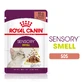 ROYAL CANIN Sensory Smell nourriture humide pour chats stimulation de l'odorat (en sauce), 85g
