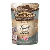 CARNILOVE, Fillet of Trout with Echinacea, sachet of moist cereal-free cat food, (in sauce), 85g