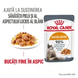 ROYAL CANIN Hair&Skin Care Adult vochtig kattenvoer huid & vacht (in aspic), 85g
