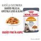 ROYAL CANIN Hair&Skin Care Adult moist cat food skin & fur (in aspic), 85g
