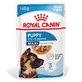 ROYAL CANIN Maxi Puppy, wet food for junior dogs, (in sauce), 140g