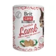 BRIT Care Snack Superfrutas, Miel y Coco, golosinas para gatos sin cereales, 100g