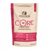 Wellness Core Core Alimento secco sterilizzato con salmone, 300 g