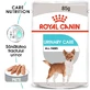 ROYAL CANIN Urinary Care Adult, Nassfutter für Hunde, Gesundheit der Harnwege, (Pastete), 85g