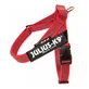 JULIUS-K9 IDC Color &amp; Gray IDC, harness dog leash, XS, 4-7kg, red