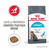 ROYAL CANIN Urinary Care Adult, alimento seco para gatos, salud del tracto urinario, 4kg