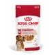 ROYAL CANIN Medium Adult nourriture humide pour chien (en sauce), 140g