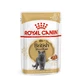 ROYAL CANIN British Shorthair Adult, comida húmeda para gatos, (en salsa), 85g