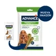 ADVANCE Dental Care Stick Medium - Maxi, M-L, bolsa de recompensa para perros con sensibilidad dental, 180g