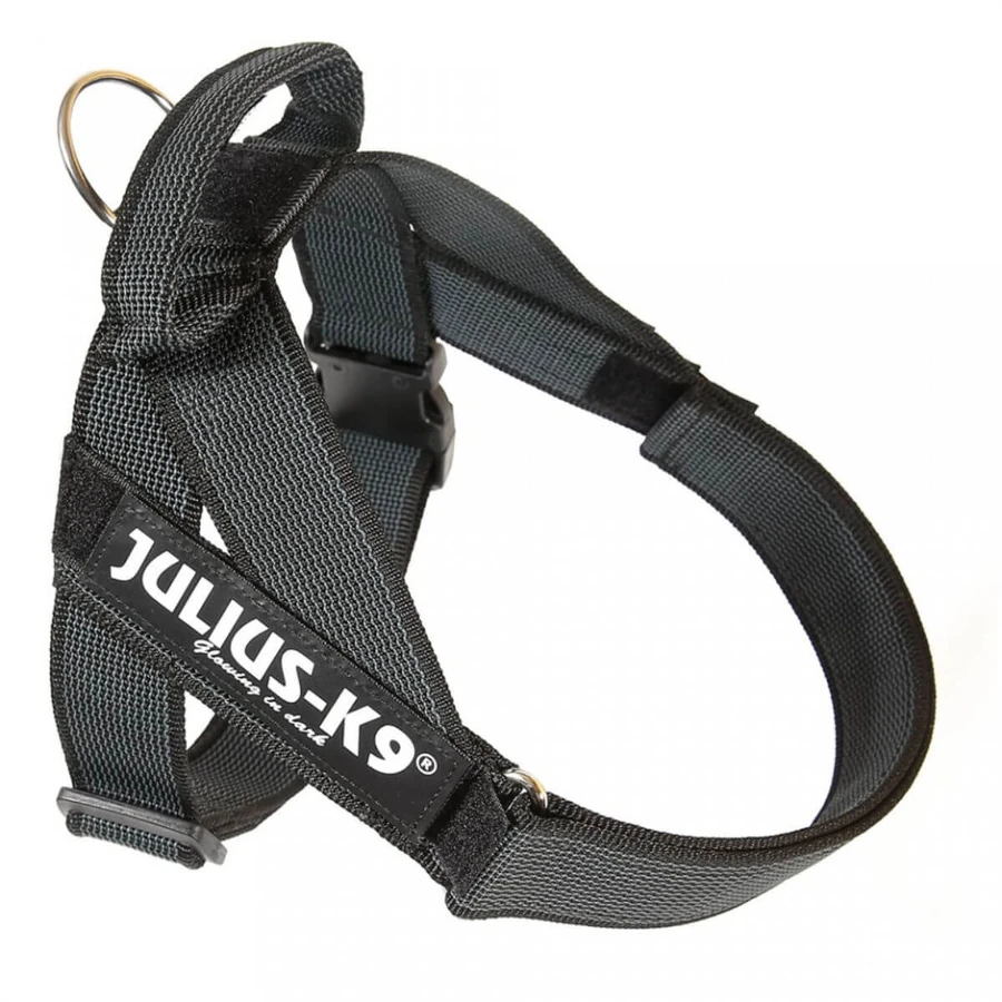 JULIUS-K9 IDC Color & Gray IDC, guinzaglio per cani con imbracatura, M, 14-25kg, nero