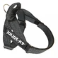JULIUS-K9 IDC Color & Gray IDC, harnais laisse chien, M, 14-25kg, noir