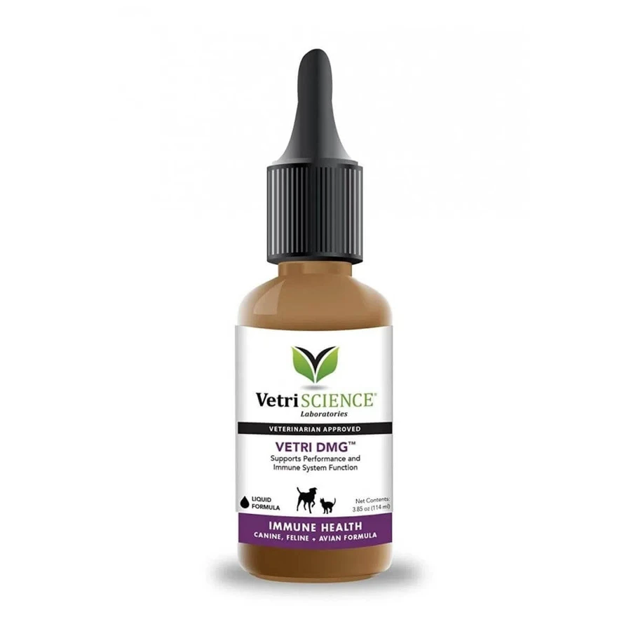 VETRISCIENCE Vetri DMG, XS-XL, immune system supplement for dogs, bottle, 114ml oral suspension