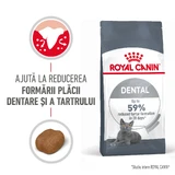 ROYAL CANIN Dental Care Adult, comida seca para gatos, reducción de sarro, 1,5kg