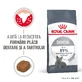 ROYAL CANIN Dental Care Adult, comida seca para gatos, reducción de sarro, 1,5kg