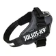 JULIUS-K9 IDC Power, szelki dla psa, S, 7-15kg, szare