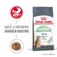 ROYAL CANIN Digestive Care Adult, croquettes pour chat, confort digestif, 400g