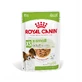 ROYAL CANIN X-Small Adult wet dog food (in sauce), 85g