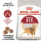 ROYAL CANIN Fit32 Adult, alimento seco para gatos, actividad física moderada, 400g