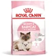 ROYAL CANIN Mother & BabyCat, dry cat food, mother and kitten, 400g