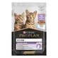 PURINA Pro Plan Healthy Start Healthy Start Kitten, Turkey, sachet de nourriture humide pour chats juniors, (en sauce), 85g