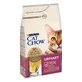 PURINA Cat Chow Urinary Tract Health, Chicken, dry cat food, urinary tract health, 1.5kg