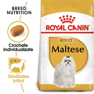 ROYAL CANIN Maltese Adult, nourriture sèche pour chiens, 1.5kg