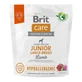 BRIT Care Hypoallergenic Hypoallergenic Junior Large Breed, L-XL, Honey, single protein dry food for junior dogs, immune system &amp; allergies, 1kg