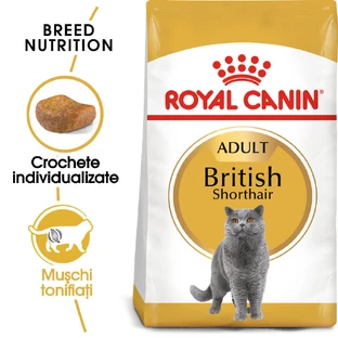 ROYAL CANIN Britisch Kurzhaar Adult, Trockenfutter für Katzen, 2 kg