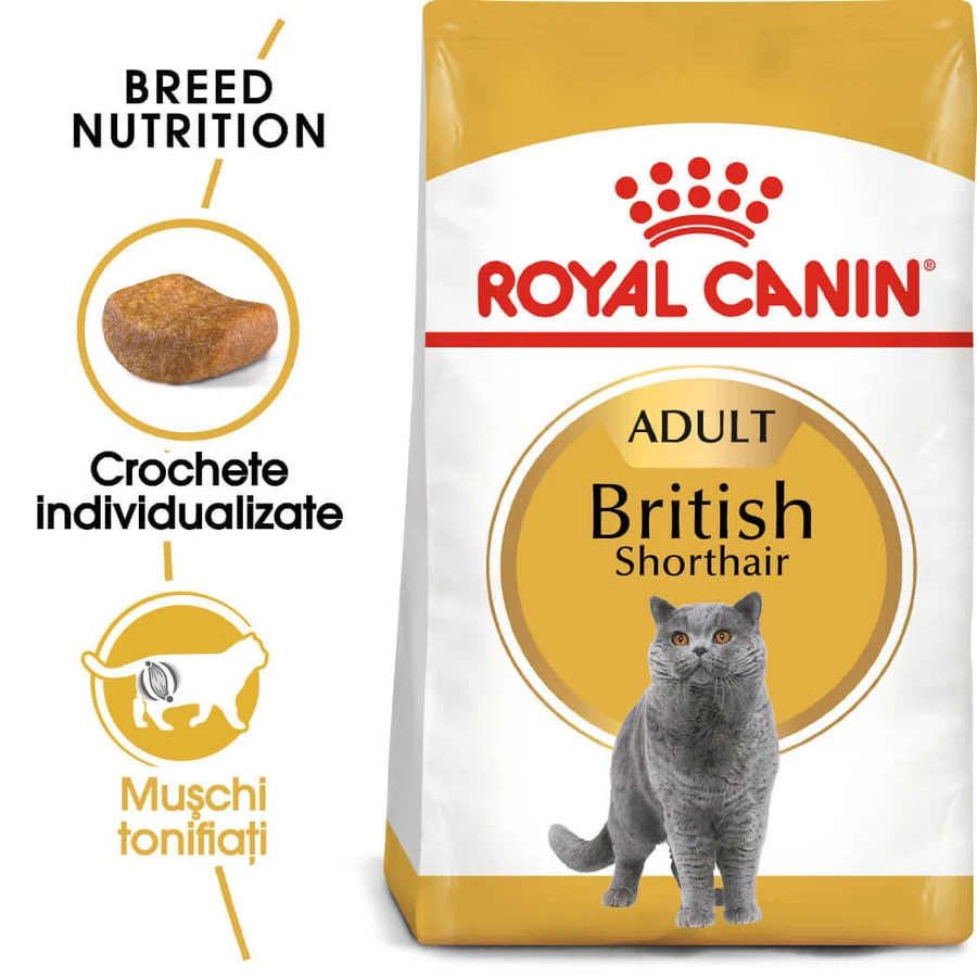 ROYAL CANIN Britisch Kurzhaar Adult, Trockenfutter für Katzen, 2 kg