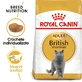 ROYAL CANIN British Shorthair Adult, croquettes pour chat, 2kg