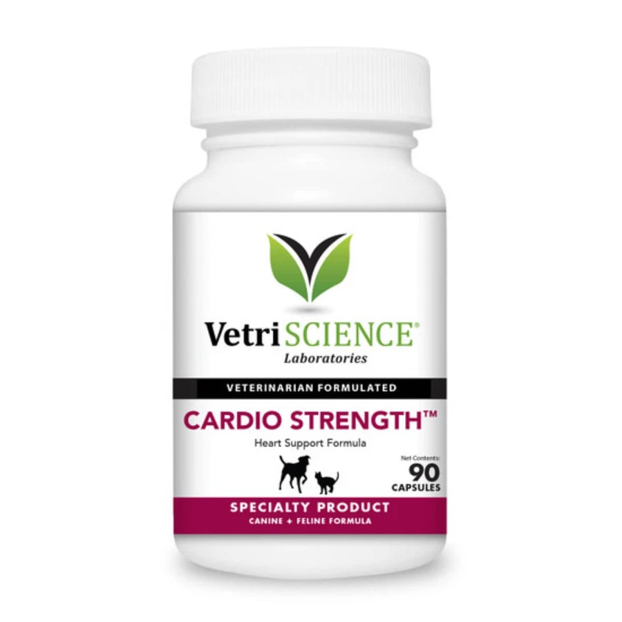 VETRISCIENCE Omega Healthy Heart, XS-XL, Herz-Kreislauf-System Ergänzung für Hunde, Flasche, 30 Kapseln